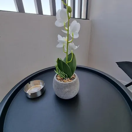 Apartment Pygmalion Royal