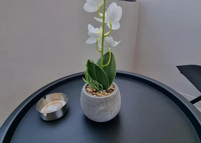 アパート Pygmalion Royal